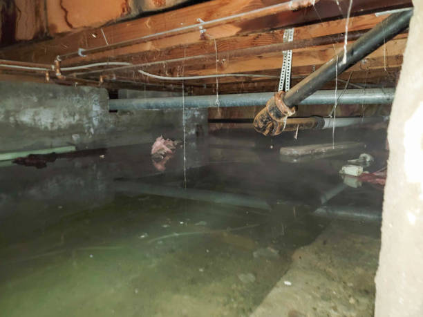 Trusted TX Water damage restoration Experts