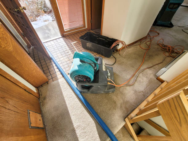 Best Carpet water damage restoration  in Cumings, TX