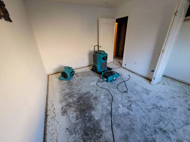 Best Water damage restoration cost  in Cumings, TX