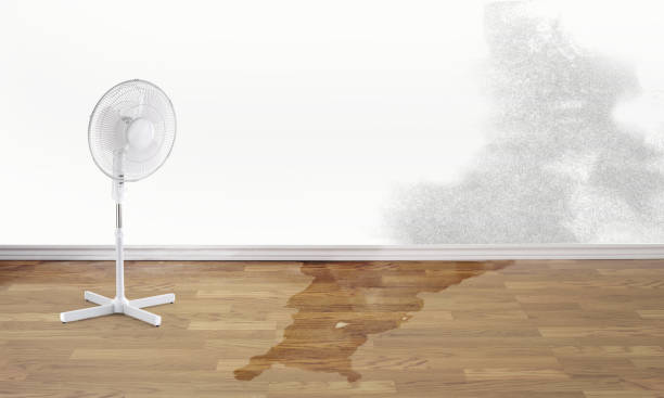 Best Water damage cleanup near me  in Cumings, TX