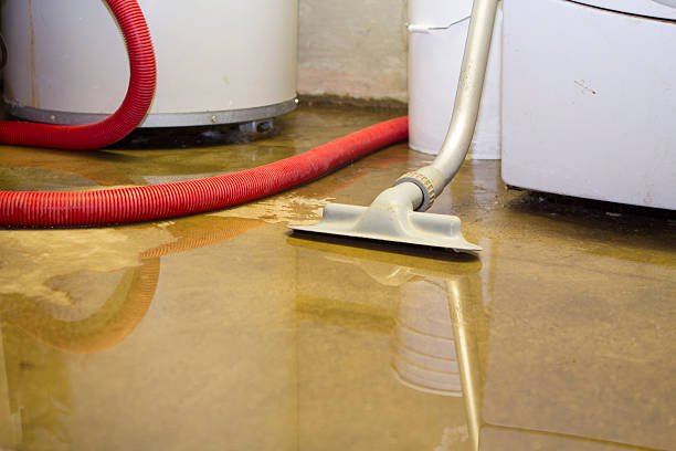Best Basement water damage restoration  in Cumings, TX