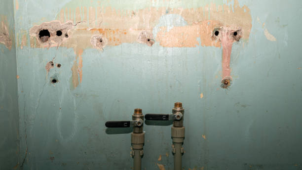 Best Water damage contractors near me  in Cumings, TX